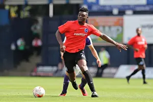 Brighton and Hove Albion vs. Luton Town: Pre-season Championship Clash at Kenilworth Road (23JUL16)