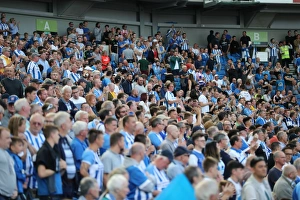 Brighton and Hove Albion vs Manchester City: Premier League Showdown at American Express Community Stadium (August 12, 2017)