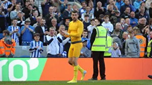 Brighton and Hove Albion vs Manchester City: Premier League Showdown at American Express Community Stadium (May 12, 2019)