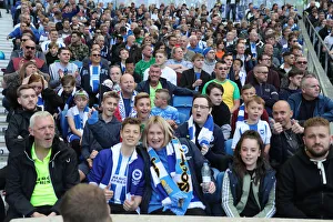 Brighton and Hove Albion vs Manchester City: Premier League Showdown at American Express Community Stadium (May 12, 2019)