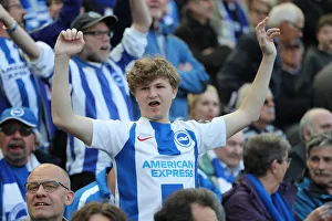 Brighton and Hove Albion vs Manchester City: Premier League Showdown at American Express Community Stadium (May 12, 2019)