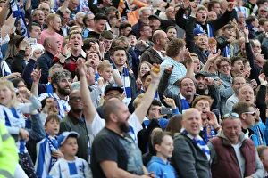 Brighton and Hove Albion vs Manchester City: Premier League Showdown at American Express Community Stadium (May 12, 2019)