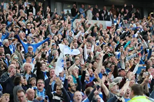 Brighton and Hove Albion vs Manchester City: Premier League Showdown at American Express Community Stadium (May 12, 2019)