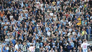 Brighton and Hove Albion vs Manchester City: Premier League Showdown at American Express Community Stadium (May 12, 2019)