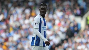 Brighton and Hove Albion vs Manchester City: Premier League Showdown at American Express Community Stadium (12 May 2019)