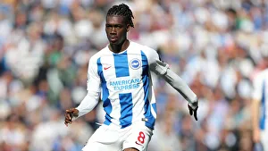 Brighton and Hove Albion vs Manchester City: Premier League Showdown at American Express Community Stadium (May 12, 2019)