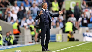 Brighton and Hove Albion vs Manchester City: Premier League Showdown at American Express Community Stadium (May 12, 2019)