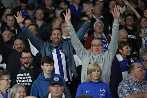 Brighton and Hove Albion vs Manchester United: Premier League Showdown at American Express Community Stadium (04.05.2018)