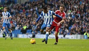 Images Dated 19th December 2015: Brighton and Hove Albion vs. Middlesbrough: Championship Showdown at American Express Community