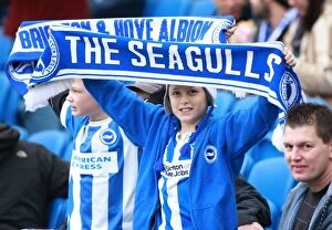 Images Dated 19th December 2015: Brighton and Hove Albion vs Middlesbrough: Fans Passionate Showdown at the American Express