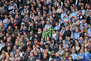 Brighton & Hove Albion vs. Middlesbrough: 2012-13 Home Game