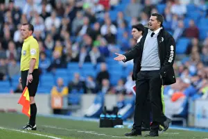 Brighton & Hove Albion vs. Middlesbrough: 2013-14 Home Game