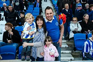 Brighton & Hove Albion vs. Middlesbrough (2013-14 Season): Home Game Highlights