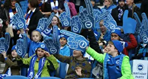 Middlesbrough 19DEC15 Prints: Brighton and Hove Albion vs. Middlesbrough: A Fierce Championship Clash (19DEC15)