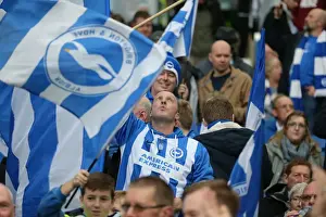 Brighton and Hove Albion vs. Middlesbrough: A Fierce Championship Clash (19DEC15)