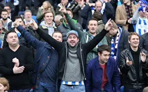 Brighton and Hove Albion vs. Middlesbrough: A Fierce Championship Clash (19DEC15)