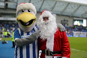 Middlesbrough 19DEC15 Prints: Brighton and Hove Albion vs. Middlesbrough: A Fight in the Sky Bet Championship (19DEC15)
