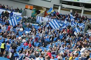 Brighton and Hove Albion vs Middlesbrough: A Sea of Passion in the South West Corner (18OCT14)