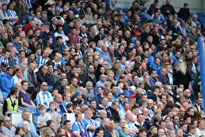 Brighton and Hove Albion vs Middlesbrough: A Sea of Passionate Fans (18OCT14)