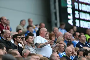 Brighton and Hove Albion vs Middlesbrough: A Sea of Passionate Fans (18OCT14)