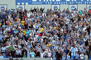 Millwall - 31-08-2013 Prints: Brighton & Hove Albion vs. Millwall: 2013-14 Home Game