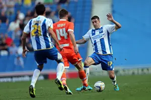 Brighton & Hove Albion vs. Millwall: 2013-14 Home Game