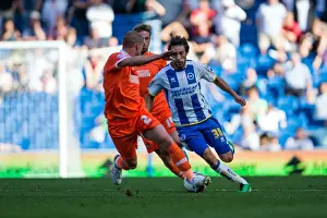 Brighton & Hove Albion vs Millwall: 2013-14 Home Opener