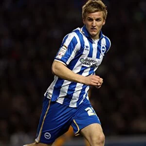 Images Dated 14th February 2012: Brighton & Hove Albion vs. Millwall: 2011-12 Season - A Historic Match