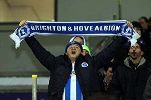 Images Dated 18th December 2012: Brighton & Hove Albion vs Millwall: A Championship Showdown (December 18, 2012)