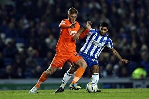 Images Dated 18th December 2012: Brighton & Hove Albion vs Millwall: A Championship Showdown (12-12-2012)