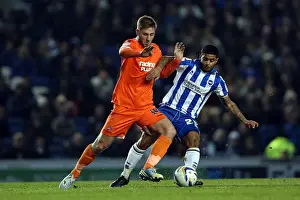 Millwall - 18-12-2012 Prints: Brighton & Hove Albion vs Millwall: A Championship Showdown (12-12-2012)