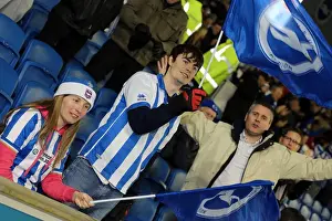 Brighton & Hove Albion vs Millwall: A Championship Showdown (December 18, 2012)