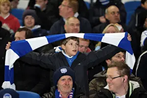 Millwall - 18-12-2012 Prints: Brighton & Hove Albion vs Millwall: A Championship Showdown (December 18, 2012)