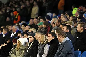 Brighton & Hove Albion vs Millwall: A Championship Showdown (December 18, 2012)