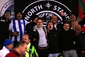 Millwall - 18-12-2012 Prints: Brighton & Hove Albion vs Millwall: A Championship Showdown (December 18, 2012)