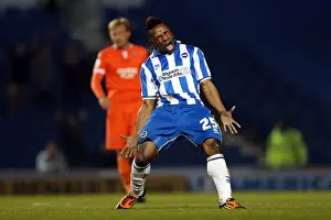 Millwall - 18-12-2012 Prints: Brighton & Hove Albion vs Millwall: A Championship Showdown (December 18, 2012)
