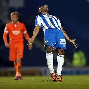 Millwall - 18-12-2012 Prints: Brighton & Hove Albion vs Millwall: A Championship Showdown (December 18, 2012)