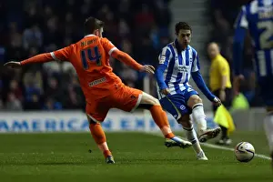Brighton & Hove Albion vs Millwall: A Championship Showdown (December 18, 2012)
