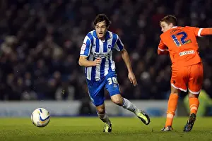 Millwall - 18-12-2012 Prints: Brighton & Hove Albion vs Millwall: A Championship Showdown (December 18, 2012)