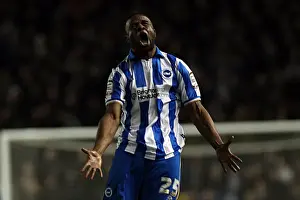 Brighton & Hove Albion vs. Millwall: A Historic 2011-12 Home Game