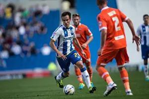 Millwall - 31-08-2013 Prints: Brighton & Hove Albion vs. Millwall: Home Game - August 31, 2013