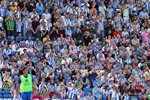 Millwall - 31-08-2013 Prints: Brighton & Hove Albion vs. Millwall: Home Game - August 31, 2013