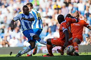 Millwall - 31-08-2013 Prints: Brighton & Hove Albion vs. Millwall: Home Game - August 31, 2013