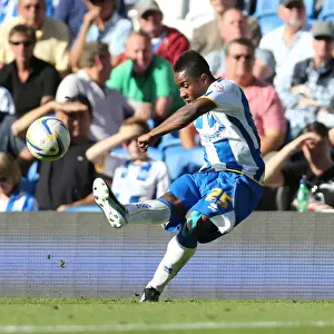 Brighton & Hove Albion vs. Millwall: Home Game - August 31, 2013