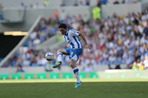 Millwall - 31-08-2013 Prints: Brighton & Hove Albion vs. Millwall: Home Game - August 31, 2013