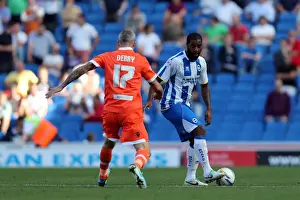 Millwall - 31-08-2013 Prints: Brighton & Hove Albion vs Millwall: Home Game - August 31, 2013