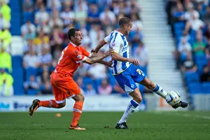 Millwall - 31-08-2013 Prints: Brighton & Hove Albion vs. Millwall: Home Game - August 31, 2013