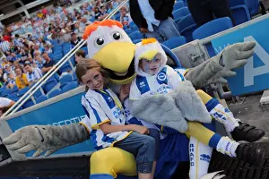 Brighton & Hove Albion vs. Millwall: Home Game - August 31, 2013