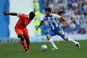 Brighton & Hove Albion vs. Millwall: Home Game - August 31, 2013