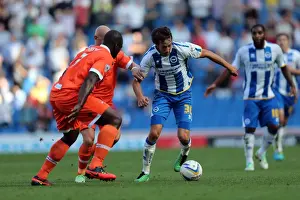 Millwall - 31-08-2013 Prints: Brighton & Hove Albion vs Millwall: Home Game - August 31, 2013